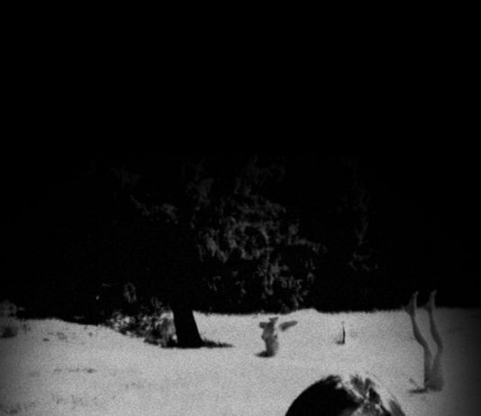 Matteo Saccomani – All we need is love