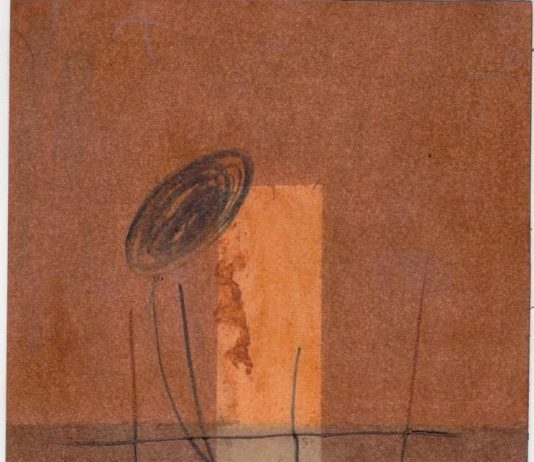 Cristina Messora – Grovigli e segni di un desiderio