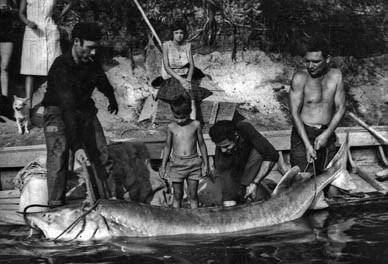 Culture in movimento. Alla scoperta delle eredità immateriali in Lombardia