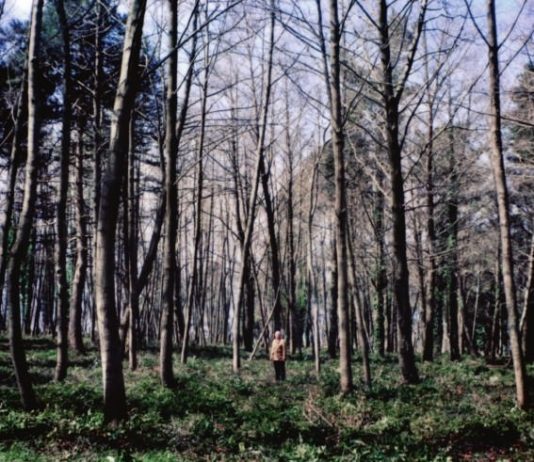 FotoLeggendo 2009 a Officine Fotografiche