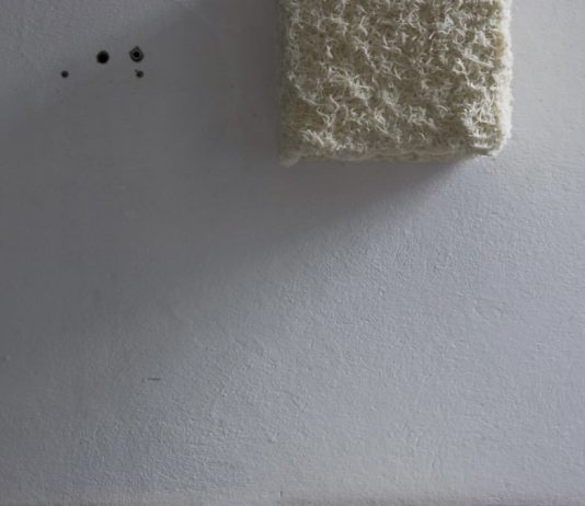 Rassegna d’arte 2009-2010 – Arianna Carossa