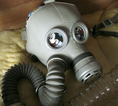 Rossella Roli – Survivals