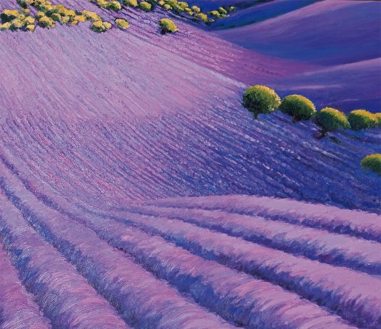 Beppe Avvanzino – La seducente luminosità della Provenza