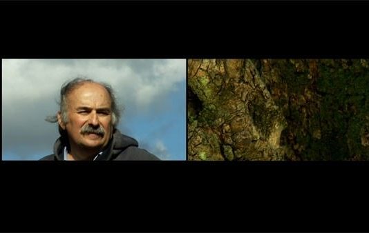 Isole d’Arte in Piazza a Magione