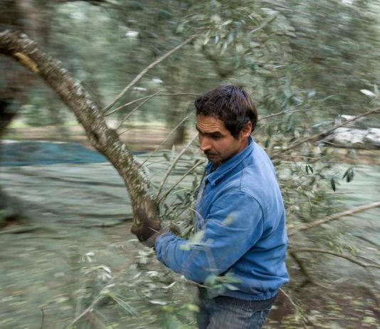 Terre di Libera. Segni di libertà