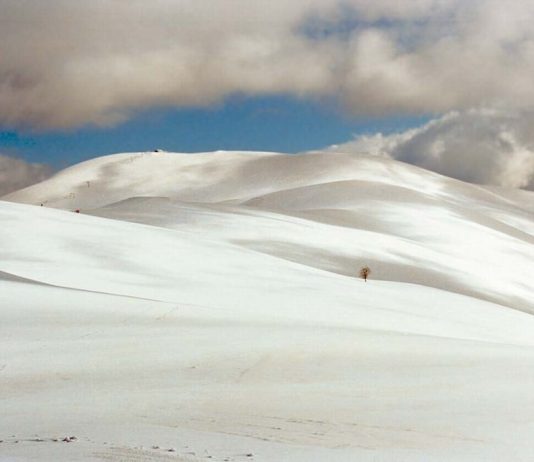 Giancarlo Casnati – Neve