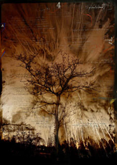 Giovanni Sesia – Di Madri e di Terra