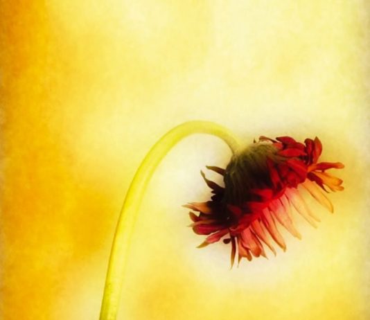 auroraMeccanica – Bolle d’aria