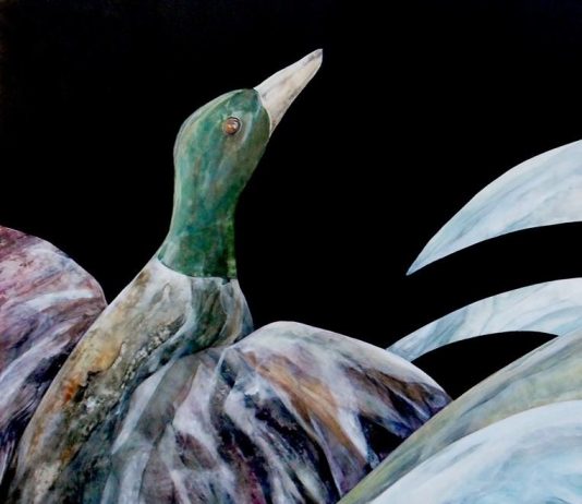 Beatrice Corradi dell’Acqua – Zoomorfica