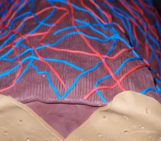 Lia Mariani – Piccolo consorzio di anime