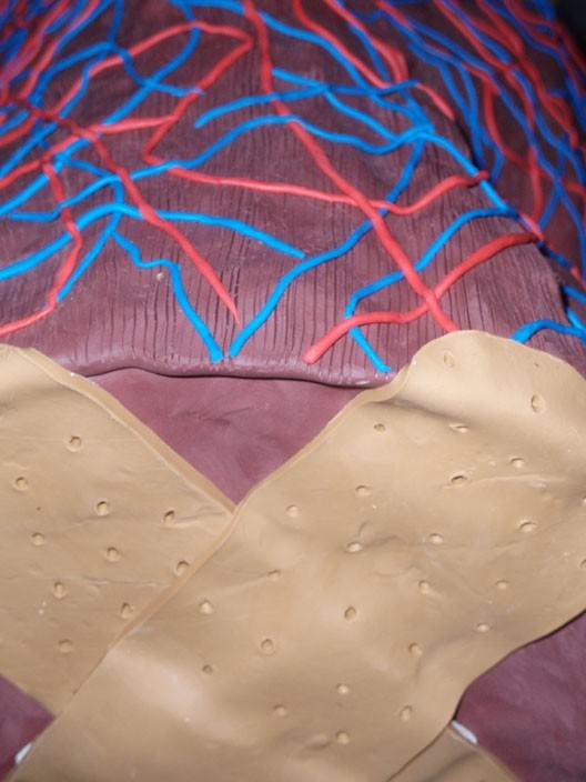 Lia Mariani – Piccolo consorzio di animehttps://www.exibart.com/repository/media/eventi/2010/01/lia-mariani-8211-piccolo-consorzio-di-anime.jpg