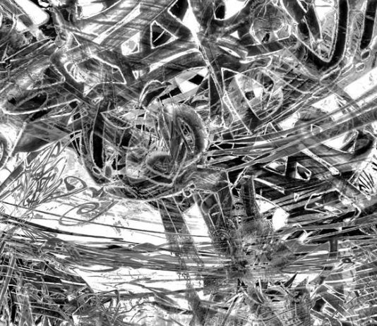 Luca Zanta – Ordine Classico