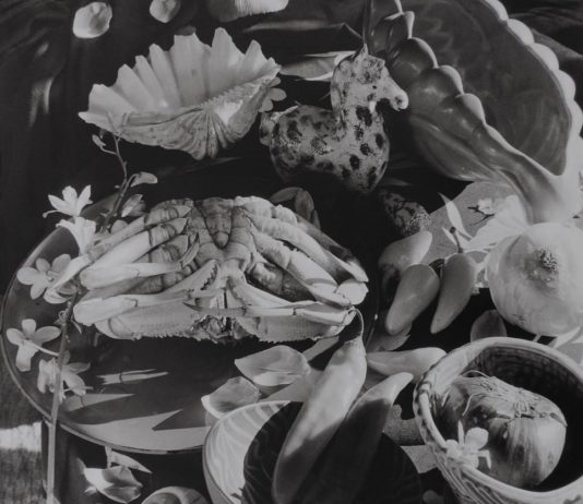 Rolf Koppel – Photographs 1976-2003