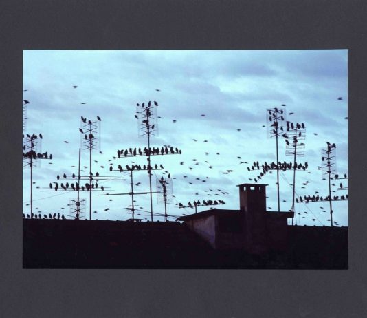 Adattarsi alla Città