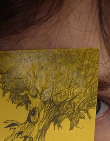 Cecilia Viganò – Se(Mi)Trattieni