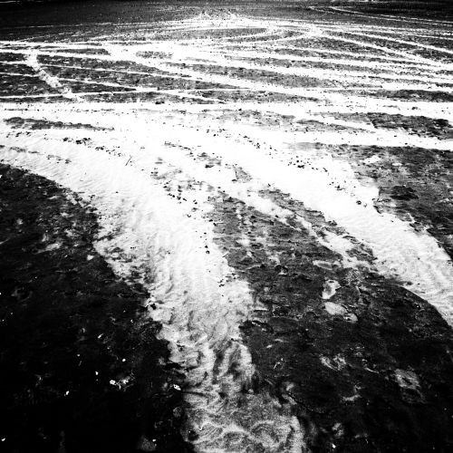 Paolo Pettinari – De reditu. Il ritornohttps://www.exibart.com/repository/media/eventi/2010/02/paolo-pettinari-8211-de-reditu.-il-ritorno.jpg