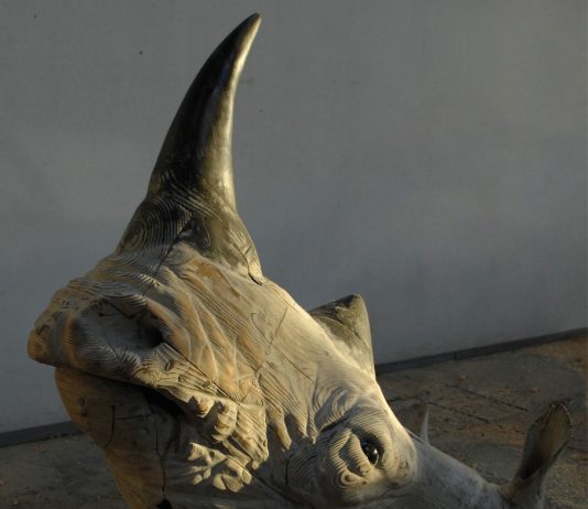 Quintin Garel – Trofei