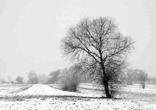 Roberto Mariani – Nel bianco
