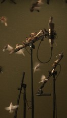 Zapruder – S(wing). Prepared Room