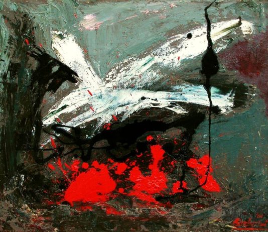 Anna Liverani Barberini – Cogliere i lampi