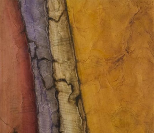 Clara Matelli – Ambiti di Frequenza