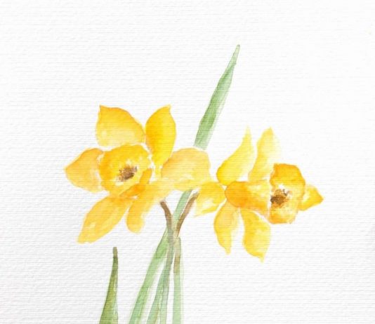 Dealessi | Luparia | Presotto – Sinfonie floreali