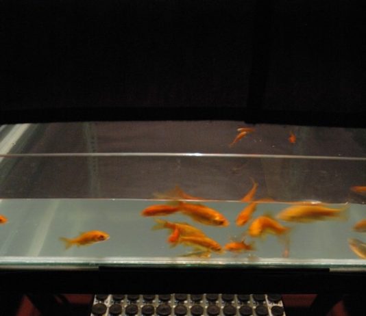 Ennio Bertrand – Acqua e Cielo