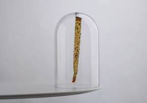 Fratelli Calgaro – Torno subito