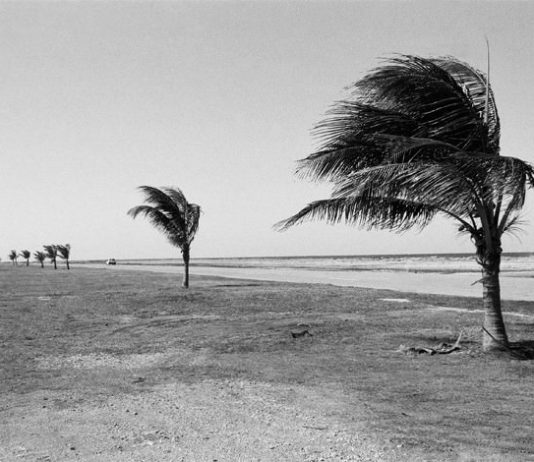 La Stagione della Fotografia – Fabio Donato La Stagione della Fotografia – Fabio Donato