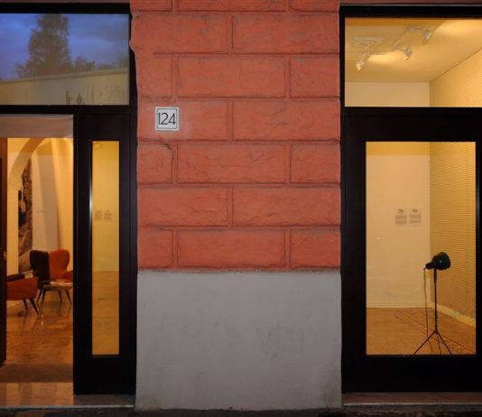 MACRO a Wunderkammern – Luca Massimo Barbero