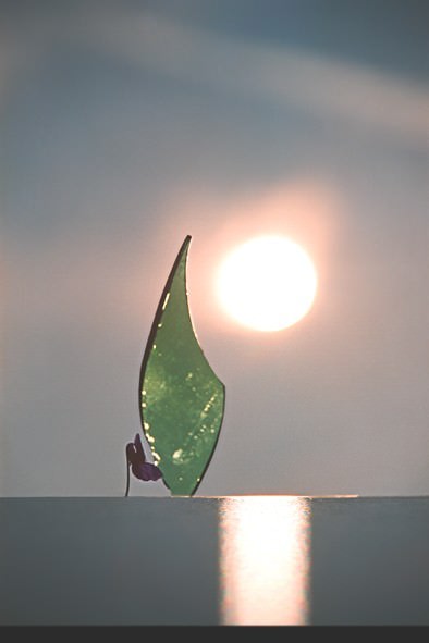 Nicola Brindicci – Metafore del sentimentohttps://www.exibart.com/repository/media/eventi/2010/03/nicola-brindicci-8211-metafore-del-sentimento.jpg