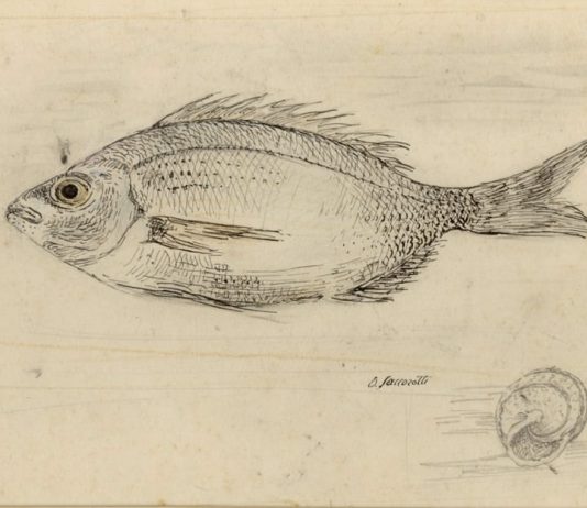 Omaggio ad alcuni Maestri del Novecento