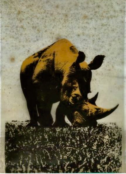 Pagine da un bestiario fantastico. Disegno italiano nel XX e XXI secolohttps://www.exibart.com/repository/media/eventi/2010/03/pagine-da-un-bestiario-fantastico.-disegno-italiano-nel-xx-e-xxi-secolo.jpg