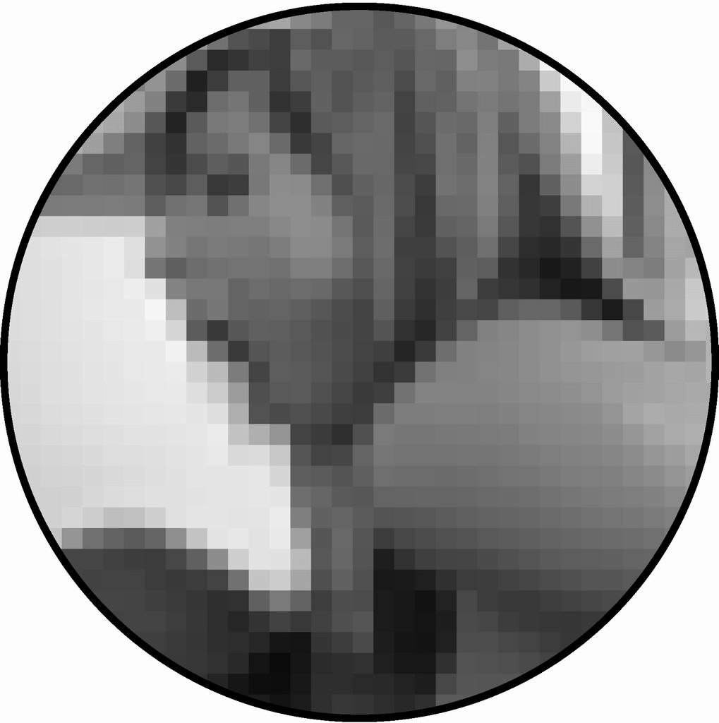 Rafael M Prada – Duplice prospettivahttps://www.exibart.com/repository/media/eventi/2010/03/rafael-m-prada-8211-duplice-prospettiva.jpg