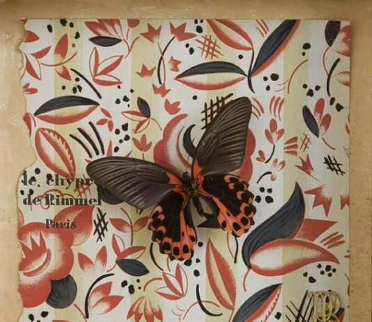 Roberto Bricchi Von Balthasar / Pieter Von Balthasar – Farfalle a Milano