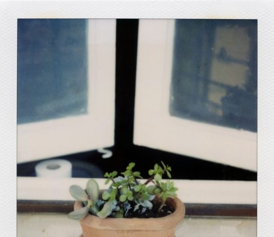 Ale Di Gangi – The possibile exhibition Ale Di Gangi – The possibile exhibition