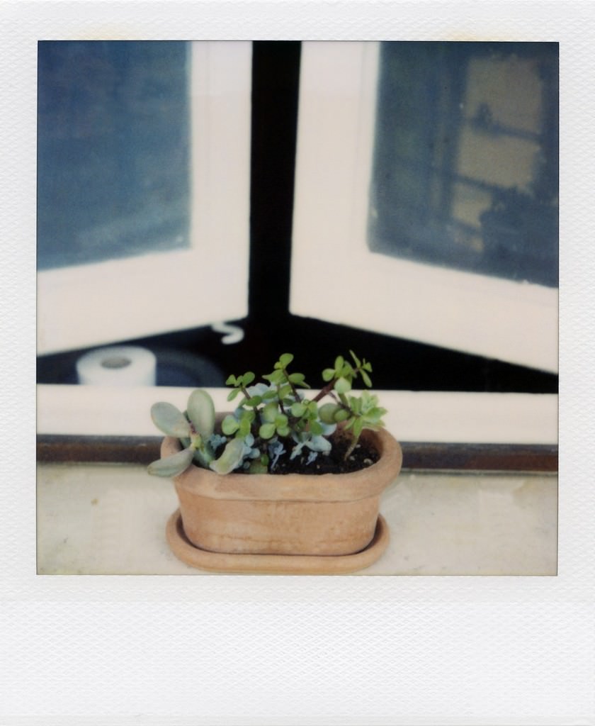 Ale Di Gangi – The possibile exhibitionhttps://www.exibart.com/repository/media/eventi/2010/04/ale-di-gangi-8211-the-possibile-exhibition.jpg