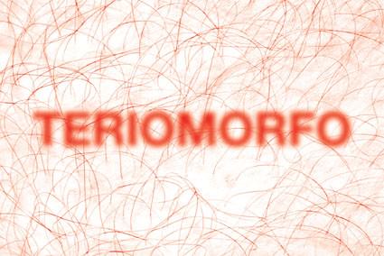 Andersen | Gligorov | Lee – Teriomorfo