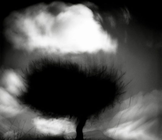 Carmelo Bongiorno – 1985/2010 Carmelo Bongiorno – 1985/2010