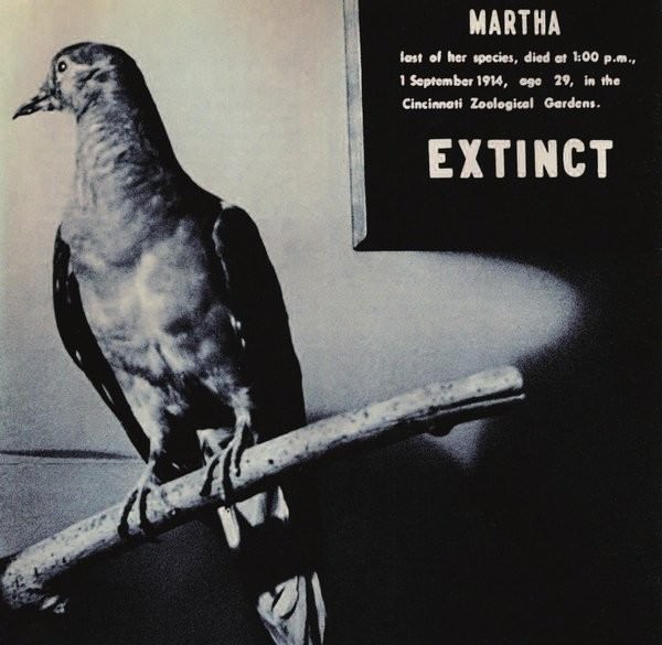 Claudia Losi – Simulacro animale per tempi di rapido consumohttps://www.exibart.com/repository/media/eventi/2010/04/claudia-losi-8211-simulacro-animale-per-tempi-di-rapido-consumo.jpg