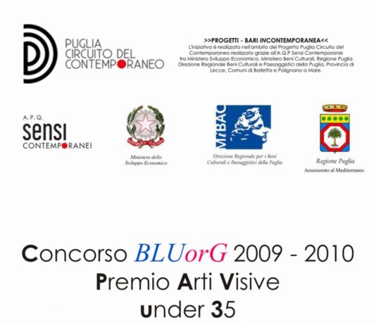 Concorso BLUorG Under 35 Arti Visive  2009-2010