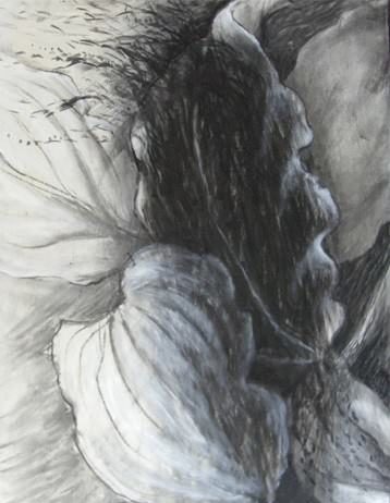 Fiorella Iori – Frammenti del visibile Fiorella Iori – Frammenti del visibile