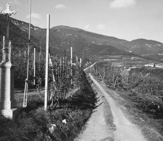 Floriano Menapace – Walking