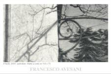 Francesco Avesani