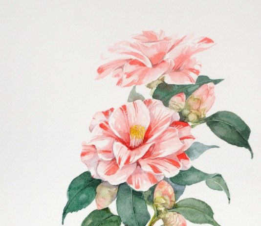 Gianna Tuninetti – Petali palpitanti