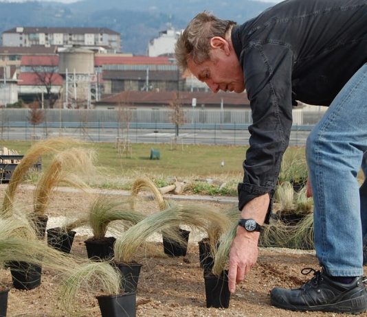 Gilles Clément – Jardin Mandala