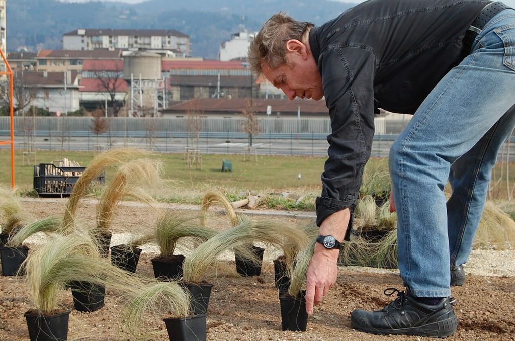 Gilles Clément – Jardin Mandalahttps://www.exibart.com/repository/media/eventi/2010/04/gilles-clément-8211-jardin-mandala-1.jpg
