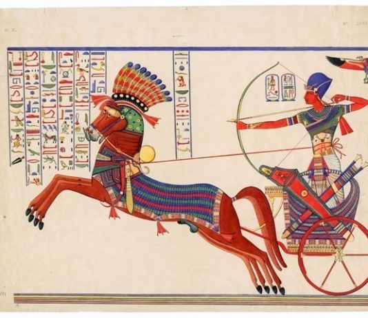 Lungo il Nilo. Ippolito Rosellini e la spedizione Franco-Toscana in Egitto (1828-1829)