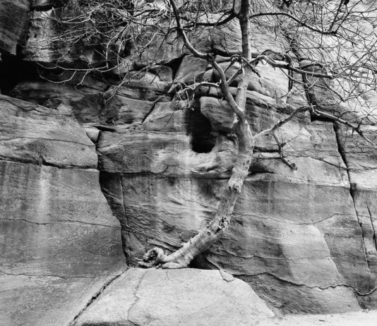 Stefano Rovai – Lost&Found