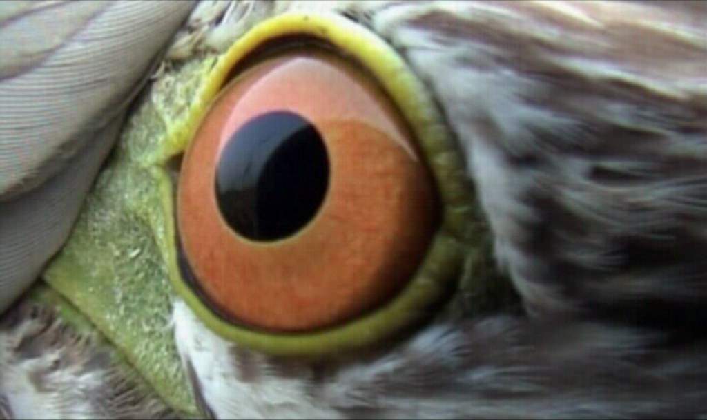 Videozoom: videoartisti del Bangladeshhttps://www.exibart.com/repository/media/eventi/2010/04/videozoom-videoartisti-del-bangladesh.jpg